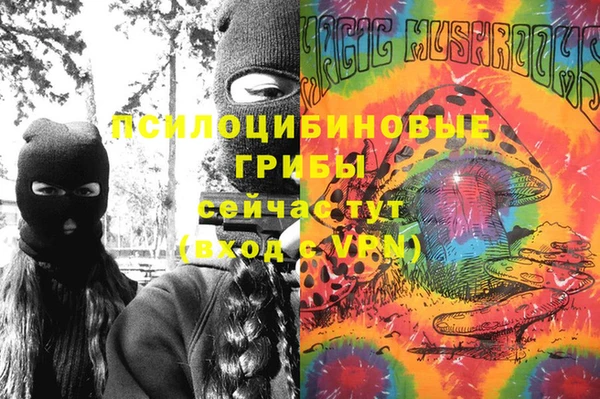 ешки Богородск