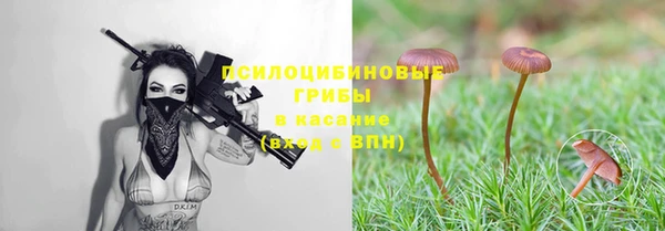 амф Богородицк