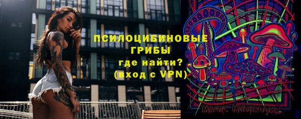соль курить ск Белокуриха