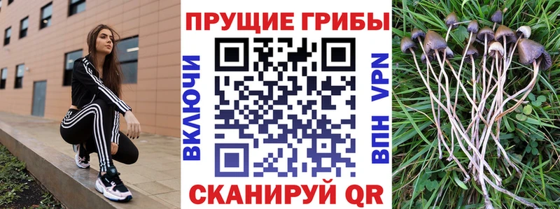 Купить закладки  Якутск  Галлюциногенные грибы мухоморы 